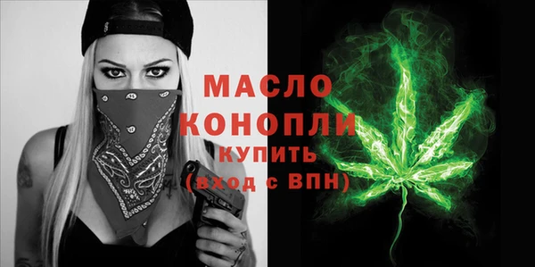 индика Вязьма