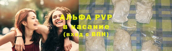 индика Вязьма