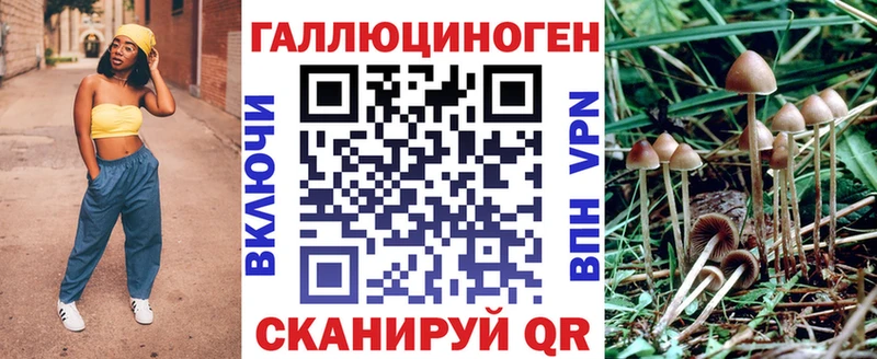 магазин    блэк спрут зеркало  Галлюциногенные грибы Psilocybe  Брюховецкая 